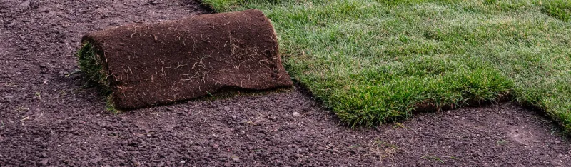 Toccoa Landscaping Company, Landscaper and Landscaping Services